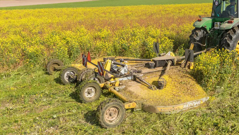 Półzawieszany mulczer Bednar zagregowany z ciągnikiem John Deere podczas rozdrabniania gęstego poplonu na polu.